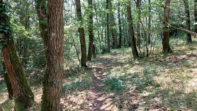 "Grand tour du Gasseau" interpretation trail