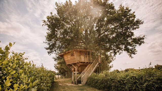 LA CHOUETTE CABANE