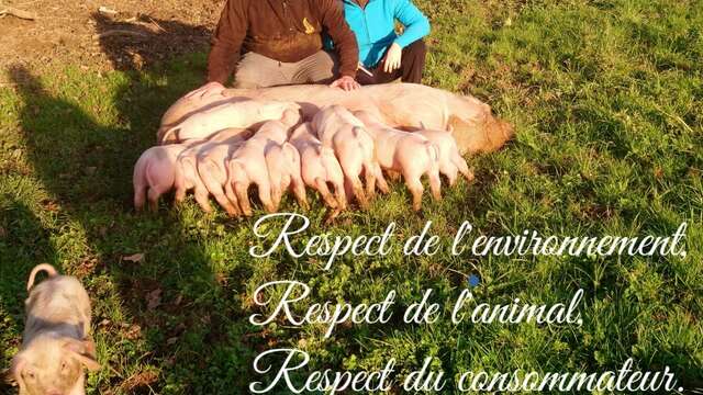 LA FERME DES COCHONS D'ANTAN