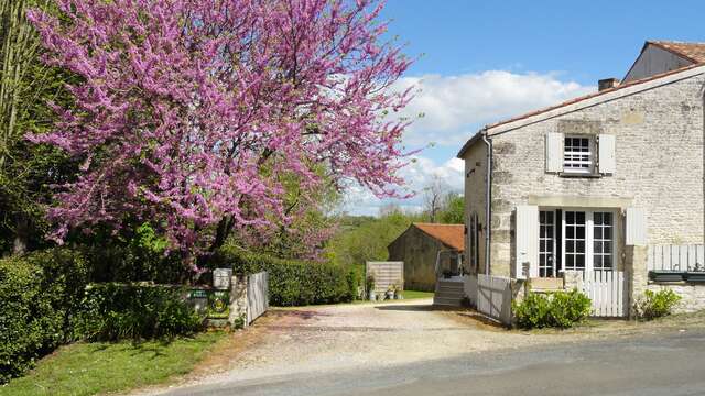 Le Lavoir