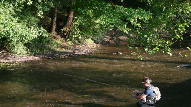 PARCOURS PÊCHE A LA MOUCHE « NO KILL » DU ROC AU LOUP