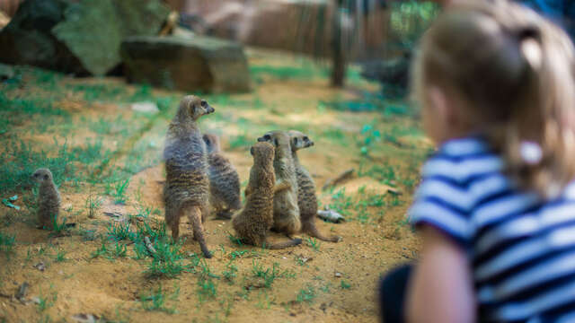 Domaine Zoologique de Pescheray