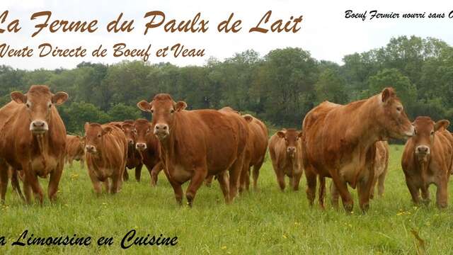 LA FERME DU PAULX DE LAIT