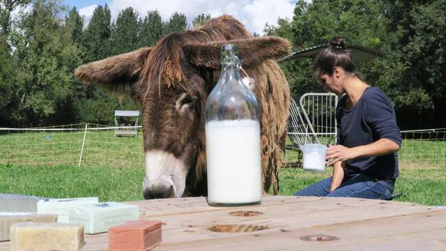 Boutique de produits fermiers - La Ferme du Marais Poitevin