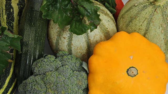 Marché gourmand et bien-être