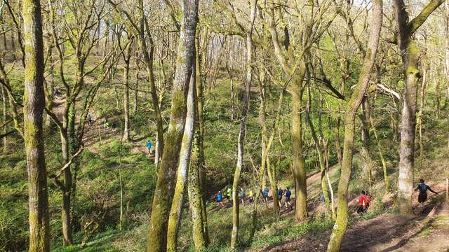 Un tour dans l'bois - Trail