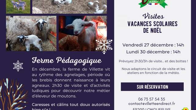 VISITE FERME PÉDAGOGIQUE VILLETTE EN DIRECT