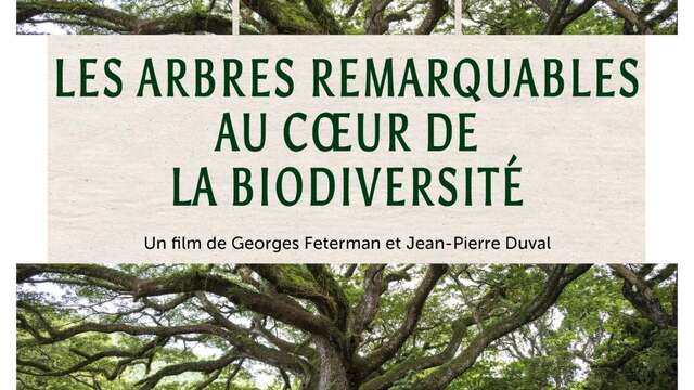 CINÉ-DÉBAT "Arbres et forêts remarquables, un univers à explorer"