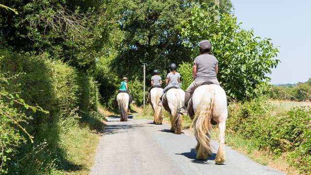 Balade à cheval et à poney - L'Orbière