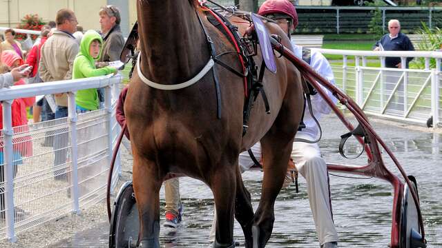 [Visite savoir-faire] Dans les coulisses de l'hippodrome de Dieppe