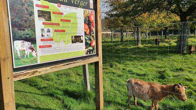 Le verger conservatoire