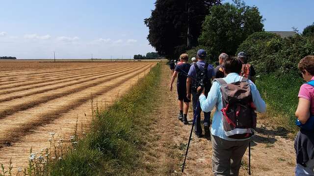 Randonnée pédestre