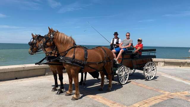 Promenades en calèche · Les Attelages des Prés Salés