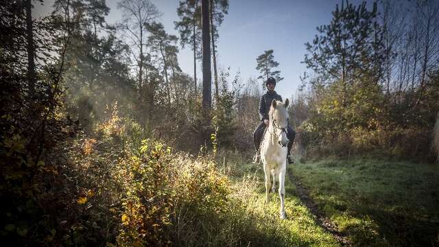 Ecurie du Val – Poney Club