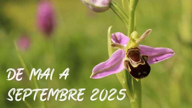 Sortie nature : Donne une note à la rivière !