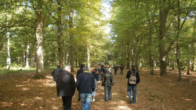 Randonnée commentée du Bois de l'Epinay en partenariat avec le Département Seine Maritime