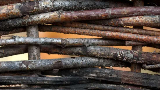 Atelier créatif : Tressage naturel