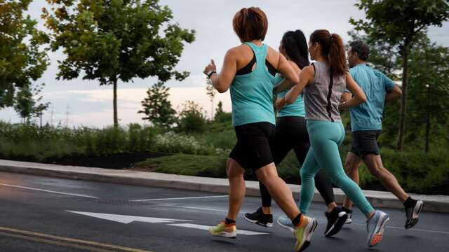 [Activités Marche] Marche adpatée (5 à 7 km)
