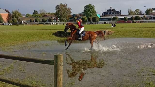 Carrière d'entraînement et de compétition