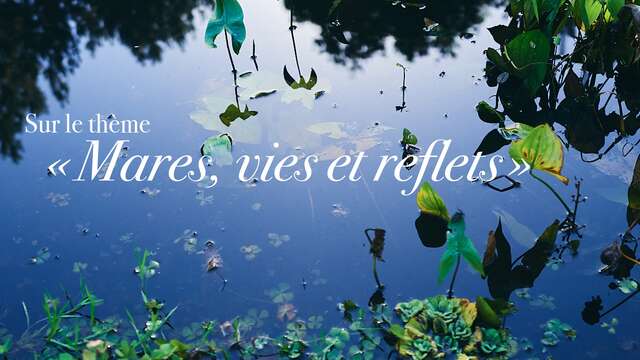 Expo Photo "Mares, Vies et reflets"