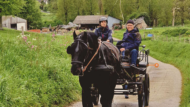Balade en calèche, au pas des chevaux