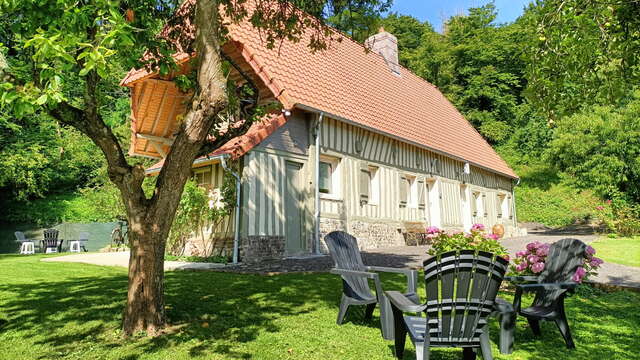 Aux oiseaux qui chantent !