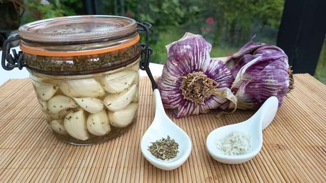 Alyfer - Ateliers de Lactofermentation