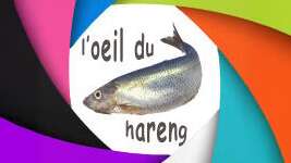 EXPOSITION : “L’œil du hareng”