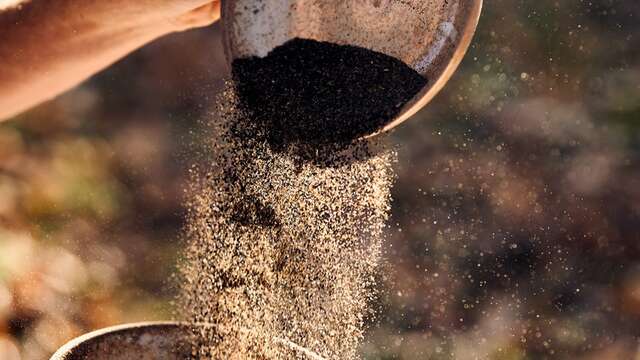 " INITIATION À LA REPRODUCTION DES SEMENCES POTAGÈRES - Chercher son autonomie semencière "