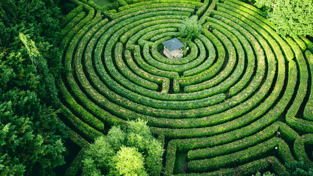 Labyrinthe Artmazia