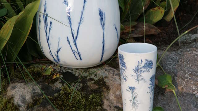 Nature Porcelaine