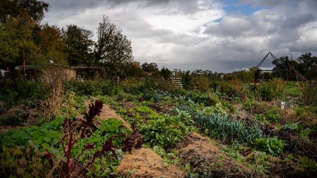 Jardins des Loups · Nouvelles Élégances