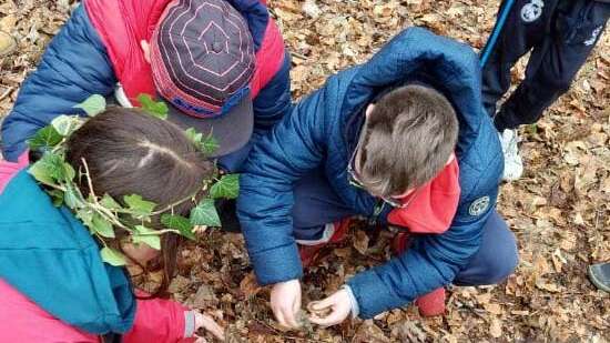 L'Explorateur : Les rendez-vous famille - Rallye en pleine nature (Rouelles)