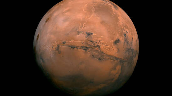 Atelier de lecture : De l'intime au collectif