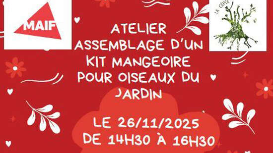 Atelier : Fabrique une Mangeoire pour les Oiseaux du Jardin