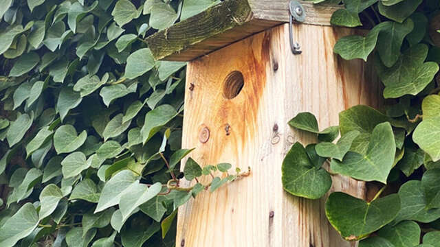 Mercredi nature : On prépare le printemps