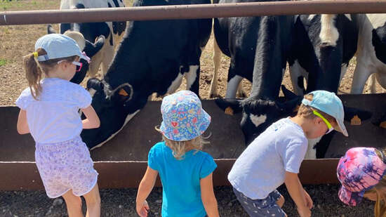 Visite en famille de la ferme pédagogique d'Épaville