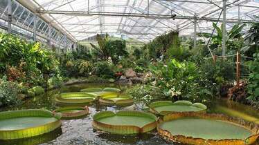 Visite guidée : Les serres des Jardins Suspendus