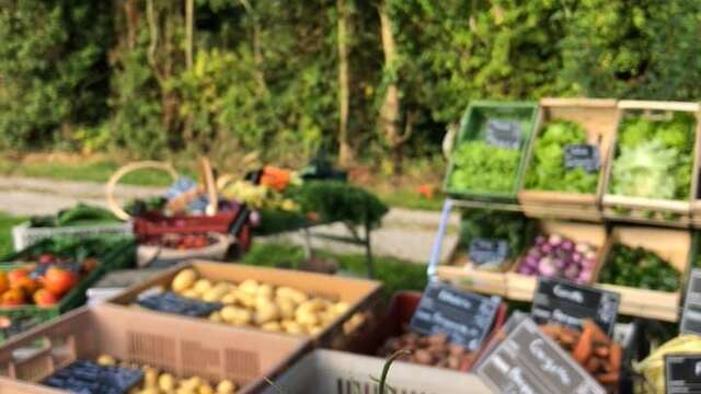 Exposition : au jardin potager