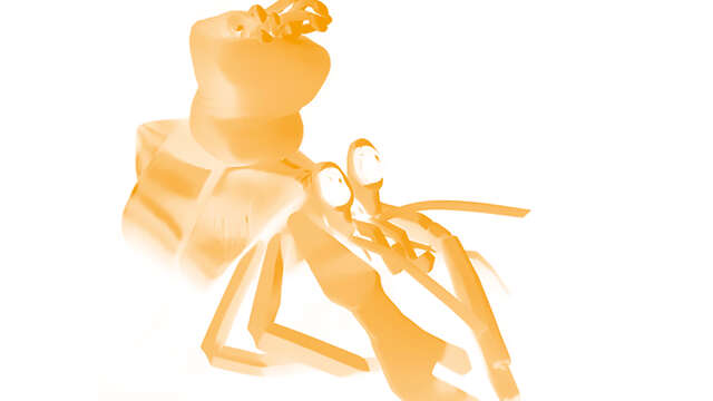 [Musique & Marionnettes] Coquille Diamant