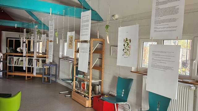 Exposition : les plantes sauvages