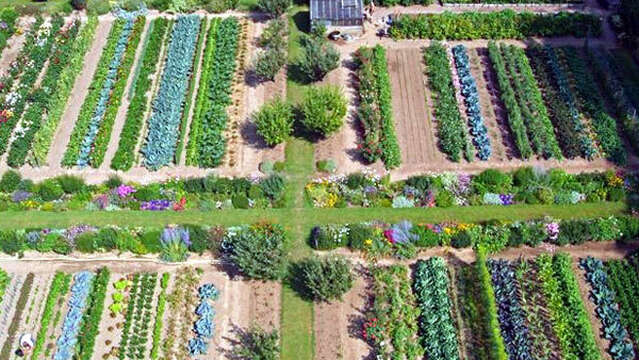 [Atelier famille] Atelier culinaire de printemps