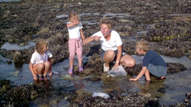 Alyferm - Découvertes des Algues sur l'Estran