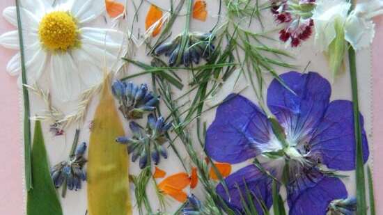 Atelier : Mon petit herbier