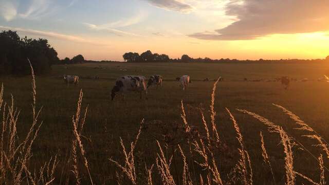 GAEC LA CROIX BRILLET
