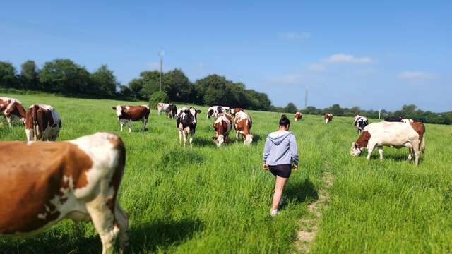 Rallye fermier - Le Tremblay