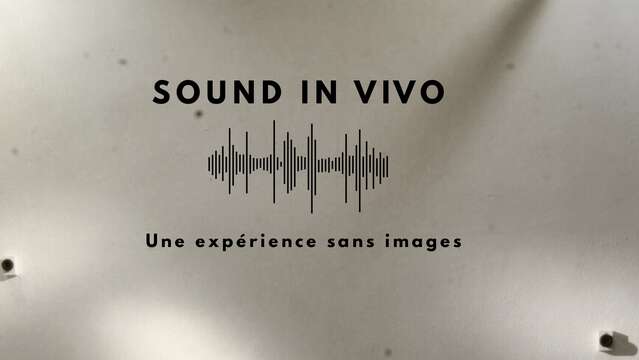 Exposition Sound in Vivo - Atelier Legault