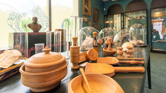 Cabinet de curiosités