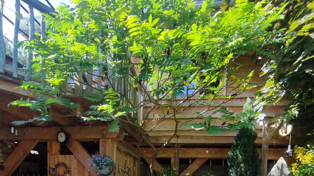 La cabane du bon chemin, SPA