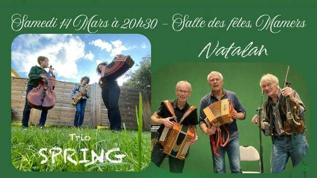 Bal Folk de la Saint Patrick